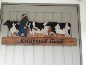 IMG_1494