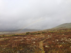 IMG_1788