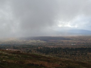 IMG_1795